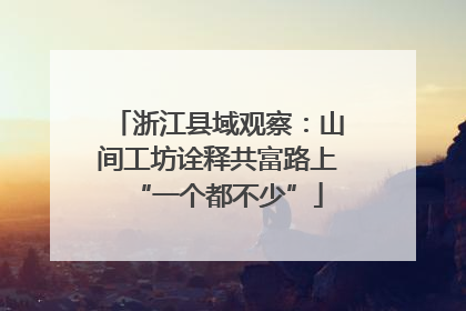 浙江县域观察：山间工坊诠释共富路上“一个都不少”