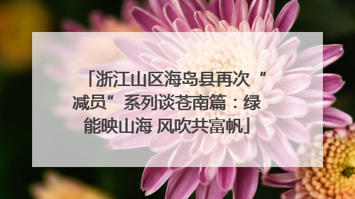 浙江山区海岛县再次“减员”系列谈苍南篇：绿能映山海 风吹共富帆