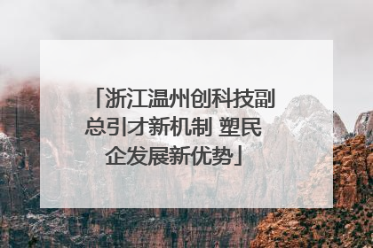 浙江温州创科技副总引才新机制 塑民企发展新优势