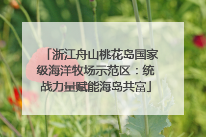 浙江舟山桃花岛国家级海洋牧场示范区：统战力量赋能海岛共富