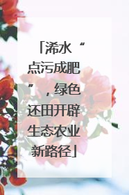 浠水“点污成肥”，绿色还田开辟生态农业新路径