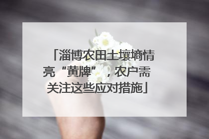 淄博农田土壤墒情亮“黄牌”，农户需关注这些应对措施
