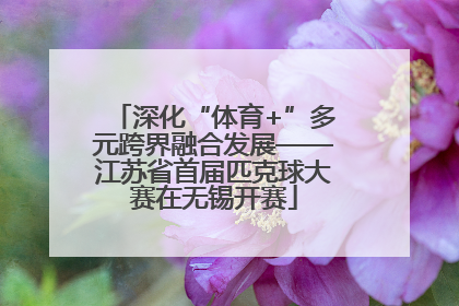 深化“体育+”多元跨界融合发展——江苏省首届匹克球大赛在无锡开赛