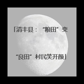 清丰县：“粮田”变“良田”村民笑开颜