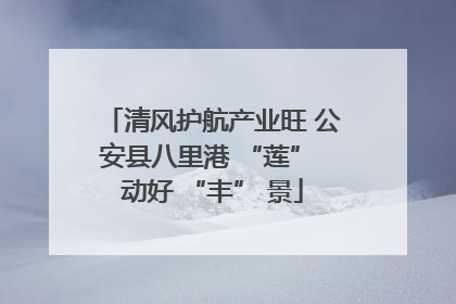 清风护航产业旺 公安县八里港 “莲” 动好 “丰” 景