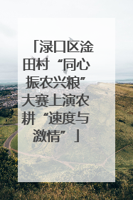 渌口区淦田村“同心振农兴粮”大赛上演农耕“速度与激情”