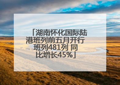 湖南怀化国际陆港班列前五月开行班列481列 同比增长45%