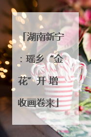湖南新宁：瑶乡“金花”开 增收画卷来