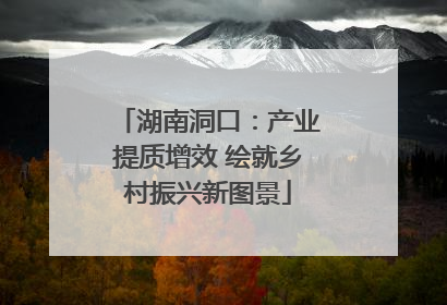 湖南洞口：产业提质增效 绘就乡村振兴新图景