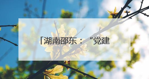 湖南邵东：“党建+”赋能 跑出乡村振兴“加速度”