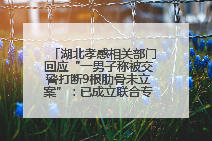 湖北孝感相关部门回应“一男子称被交警打断9根肋骨未立案”：已成立联合专班开展工作