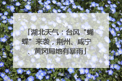 湖北天气：台风“蝴蝶”来袭，荆州、咸宁、黄冈局地有暴雨