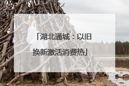 湖北通城：以旧换新激活消费热