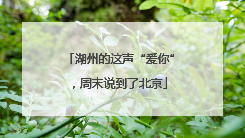 湖州的这声“爱你”，周末说到了北京