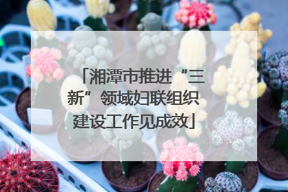 湘潭市推进“三新”领域妇联组织建设工作见成效