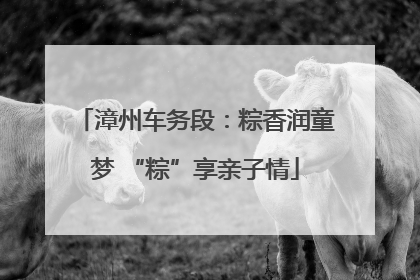 漳州车务段：粽香润童梦 “粽”享亲子情