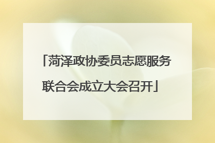菏泽政协委员志愿服务联合会成立大会召开