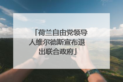荷兰自由党领导人维尔德斯宣布退出联合政府