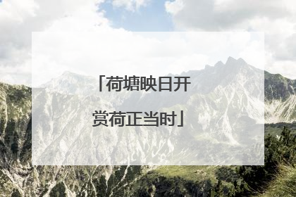 荷塘映日开 赏荷正当时