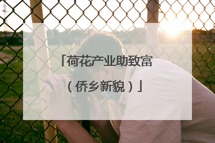 荷花产业助致富（侨乡新貌）