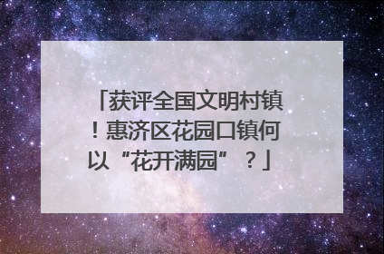 获评全国文明村镇！惠济区花园口镇何以“花开满园”？