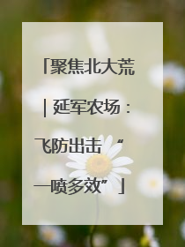 聚焦北大荒｜延军农场：飞防出击 “一喷多效”