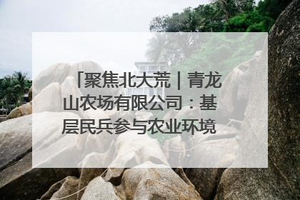 聚焦北大荒｜青龙山农场有限公司：基层民兵参与农业环境综合治理显效
