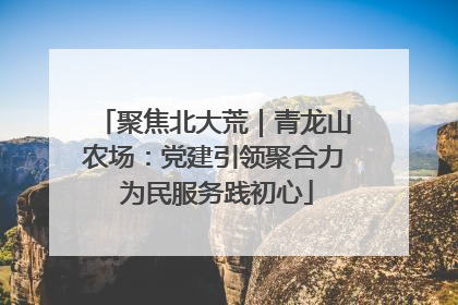 聚焦北大荒｜青龙山农场：党建引领聚合力 为民服务践初心