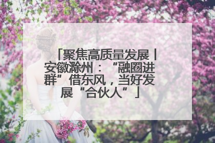 聚焦高质量发展丨安徽滁州：“融圈进群”借东风，当好发展“合伙人”