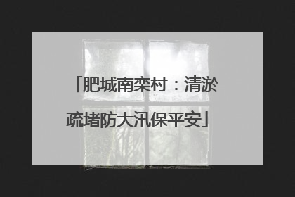 肥城南栾村：清淤疏堵防大汛保平安