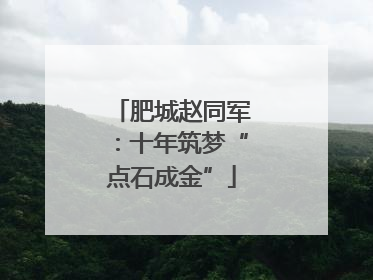 肥城赵同军：十年筑梦“点石成金”