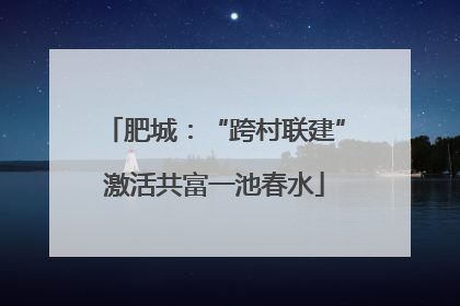 肥城：“跨村联建”激活共富一池春水