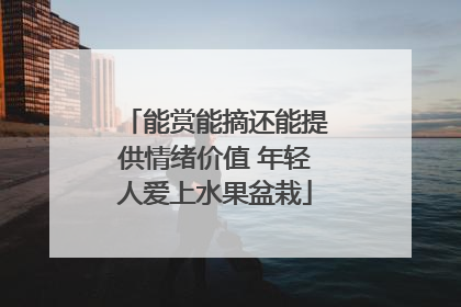能赏能摘还能提供情绪价值 年轻人爱上水果盆栽
