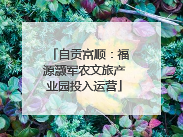 自贡富顺：福源灏军农文旅产业园投入运营