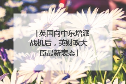 英国向中东增派战机后，英财政大臣最新表态