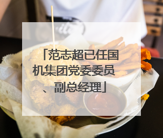 范志超已任国机集团党委委员、副总经理