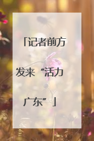 记者前方发来“活力广东”