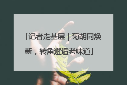 记者走基层｜菊胡同焕新，转角邂逅老味道