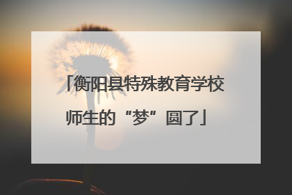 衡阳县特殊教育学校师生的“梦”圆了