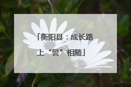 衡阳县：成长路上“警”相随