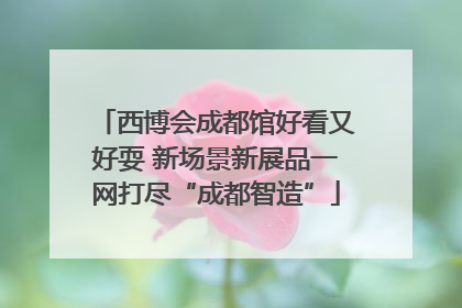 西博会成都馆好看又好耍 新场景新展品一网打尽“成都智造”
