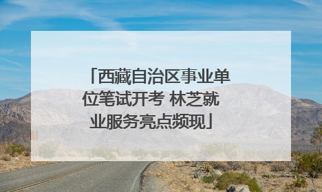 西藏自治区事业单位笔试开考 林芝就业服务亮点频现