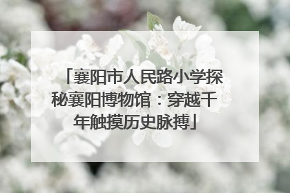 襄阳市人民路小学探秘襄阳博物馆：穿越千年触摸历史脉搏