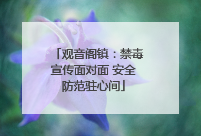 观音阁镇：禁毒宣传面对面 安全防范驻心间