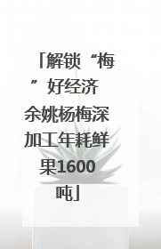 解锁“梅”好经济 余姚杨梅深加工年耗鲜果1600吨
