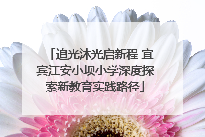 追光沐光启新程 宜宾江安小坝小学深度探索新教育实践路径