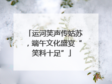 运河笑声传姑苏，端午文化盛宴“笑料十足”