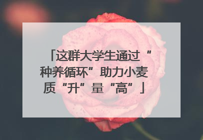 这群大学生通过“种养循环”助力小麦质“升”量“高”