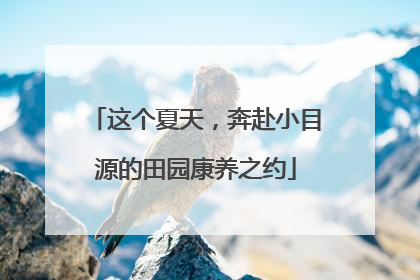 这个夏天，奔赴小目源的田园康养之约