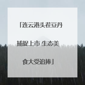 连云港头茬豆丹捕捉上市 生态美食大受追捧